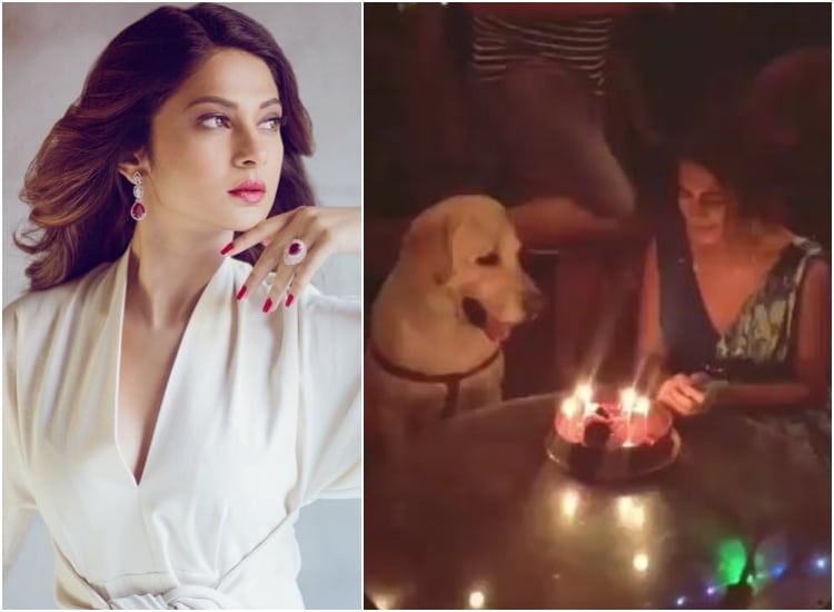 jennifer winget missfilmycom jennifer winget