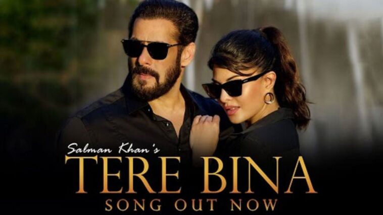 tere bina video song