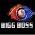 big boss 14 contestants missfilmycom big boss 14 contestants