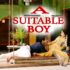 a suitable boy trailer