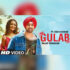 gulab video song