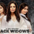 black widows official trailer missfilmycom black widows official trailer