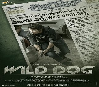 wild poster